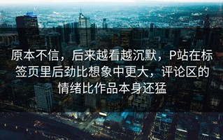 原本不信，后来越看越沉默，P站在标签页里后劲比想象中更大，评论区的情绪比作品本身还猛