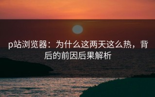 p站浏览器：为什么这两天这么热，背后的前因后果解析