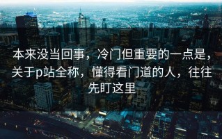 本来没当回事，冷门但重要的一点是，关于p站全称，懂得看门道的人，往往先盯这里