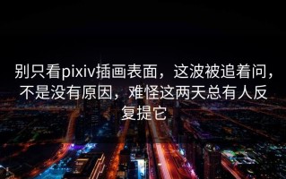 别只看pixiv插画表面，这波被追着问，不是没有原因，难怪这两天总有人反复提它
