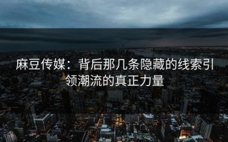 麻豆传媒：背后那几条隐藏的线索引领潮流的真正力量