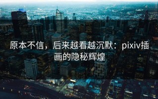 原本不信，后来越看越沉默：pixiv插画的隐秘辉煌
