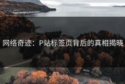 网络奇迹：P站标签页背后的真相揭晓