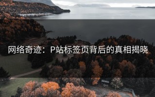 网络奇迹：P站标签页背后的真相揭晓