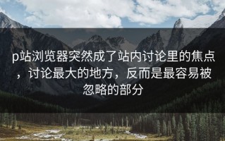p站浏览器突然成了站内讨论里的焦点，讨论最大的地方，反而是最容易被忽略的部分