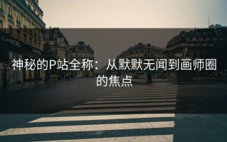 神秘的P站全称：从默默无闻到画师圈的焦点