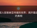 深入探索麻豆传媒的世界：揭开幕后的真相