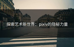 探索艺术新世界：pixiv的隐秘力量