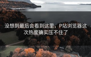没想到最后会看到这里，P站浏览器这次热度确实压不住了