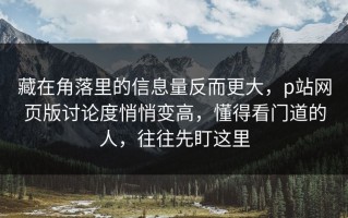 藏在角落里的信息量反而更大，p站网页版讨论度悄悄变高，懂得看门道的人，往往先盯这里