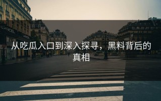 从吃瓜入口到深入探寻，黑料背后的真相