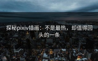 探秘pixiv插画：不是最热，却值得回头的一条