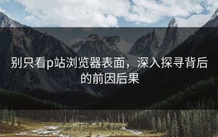 别只看p站浏览器表面，深入探寻背后的前因后果