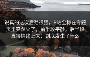 说真的这次后劲很强，P站全称在专题页里突然火了，前半段平静，后半段直接情绪上来：到底发生了什么