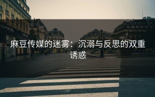 麻豆传媒的迷雾：沉溺与反思的双重诱惑