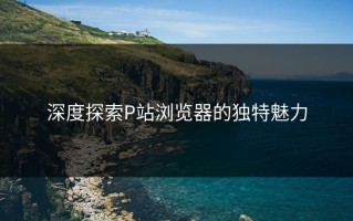 深度探索P站浏览器的独特魅力