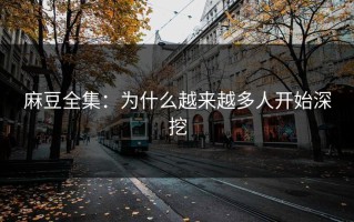 麻豆全集：为什么越来越多人开始深挖