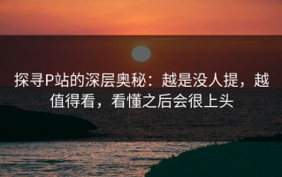 探寻P站的深层奥秘：越是没人提，越值得看，看懂之后会很上头