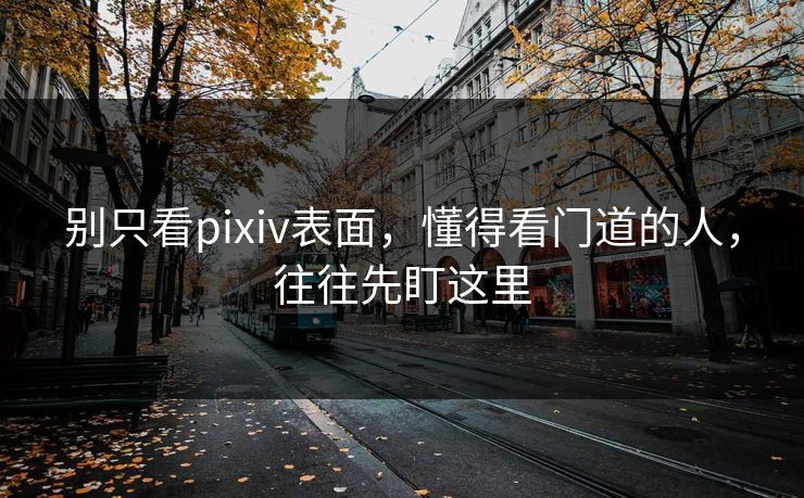 别只看pixiv表面,懂得看门道的人,往往先盯这里-第1张图片-p站网页版影视网 - p站内容页 别只看pixiv表面,懂得看门道的人,往往先盯这里-第1张图片-p站网页版影视网 - p站内容页