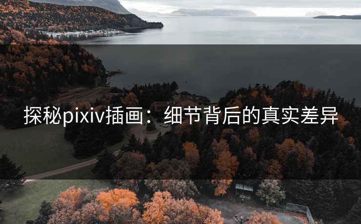 探秘pixiv插画：细节背后的真实差异-第1张图片-p站网页版影视网 - p站内容页