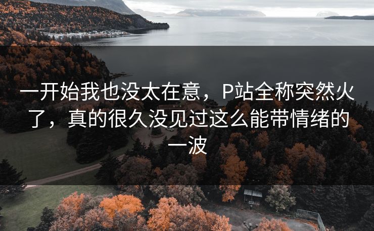 一开始我也没太在意，P站全称突然火了，真的很久没见过这么能带情绪的一波-第1张图片-p站网页版影视网 - p站内容页