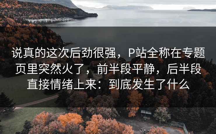 说真的这次后劲很强，P站全称在专题页里突然火了，前半段平静，后半段直接情绪上来：到底发生了什么-第1张图片-p站网页版影视网 - p站内容页