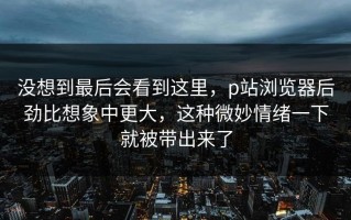 没想到最后会看到这里，p站浏览器后劲比想象中更大，这种微妙情绪一下就被带出来了