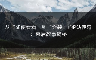 从“随便看看”到“炸裂”的P站传奇：幕后故事揭秘